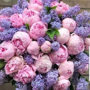 Meet your Posher, Donna